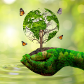 Environmental Safeguarding