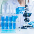 Testing & Analysis